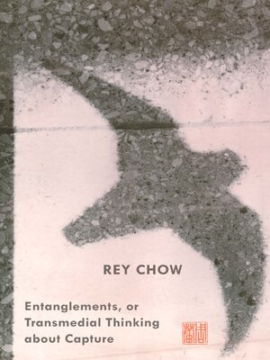 cover image of Entanglements, or Transmedial Thinking about Capture